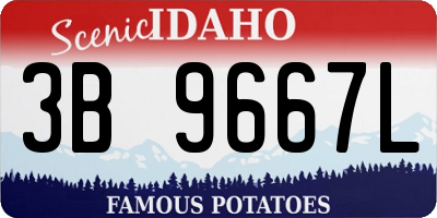 ID license plate 3B9667L