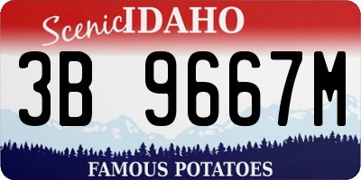ID license plate 3B9667M