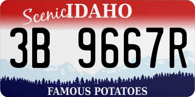 ID license plate 3B9667R