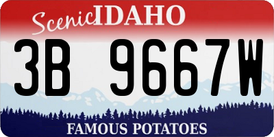 ID license plate 3B9667W