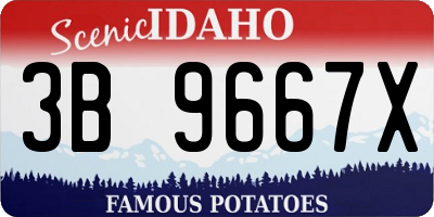 ID license plate 3B9667X