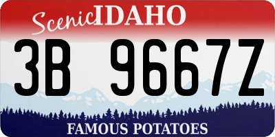 ID license plate 3B9667Z