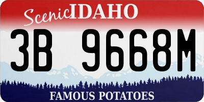 ID license plate 3B9668M