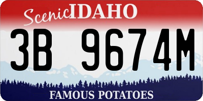 ID license plate 3B9674M