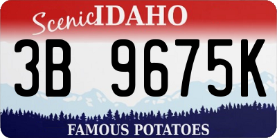 ID license plate 3B9675K