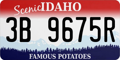 ID license plate 3B9675R