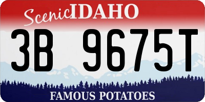 ID license plate 3B9675T