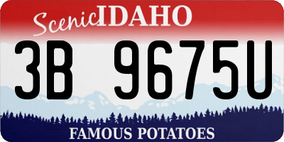 ID license plate 3B9675U