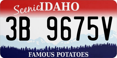 ID license plate 3B9675V