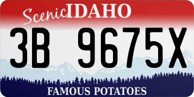 ID license plate 3B9675X