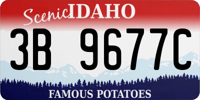 ID license plate 3B9677C