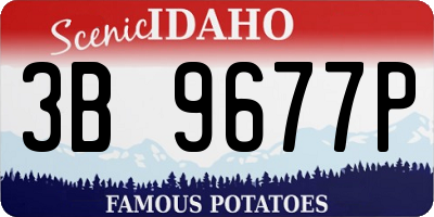 ID license plate 3B9677P