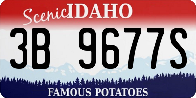 ID license plate 3B9677S
