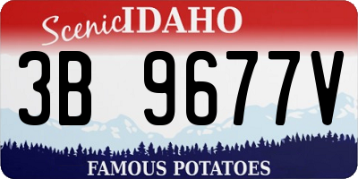 ID license plate 3B9677V