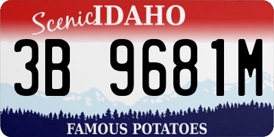ID license plate 3B9681M