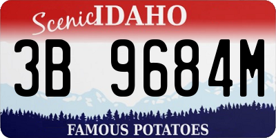 ID license plate 3B9684M