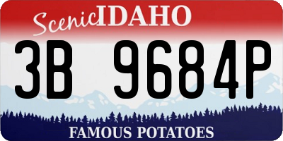 ID license plate 3B9684P
