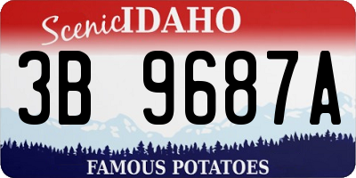 ID license plate 3B9687A