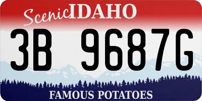 ID license plate 3B9687G