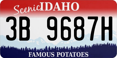 ID license plate 3B9687H