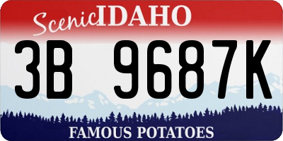 ID license plate 3B9687K