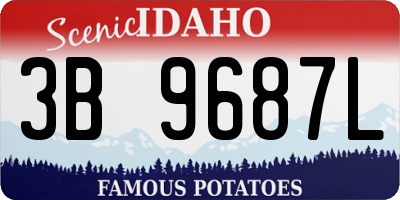 ID license plate 3B9687L