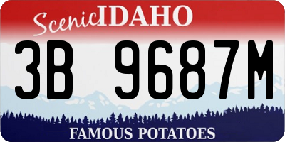 ID license plate 3B9687M