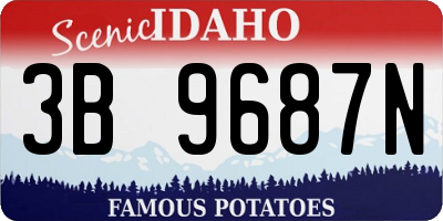 ID license plate 3B9687N