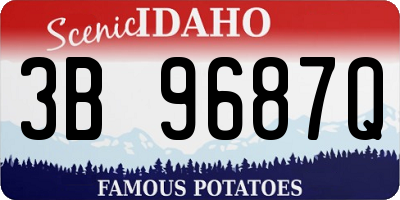 ID license plate 3B9687Q