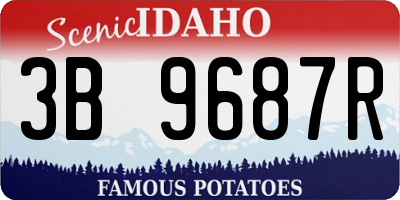 ID license plate 3B9687R