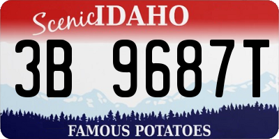 ID license plate 3B9687T