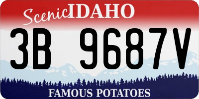 ID license plate 3B9687V