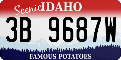 ID license plate 3B9687W