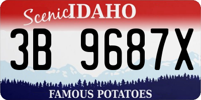 ID license plate 3B9687X
