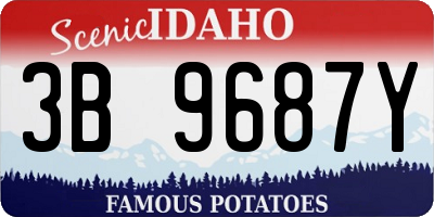 ID license plate 3B9687Y
