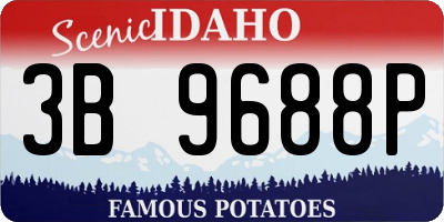 ID license plate 3B9688P