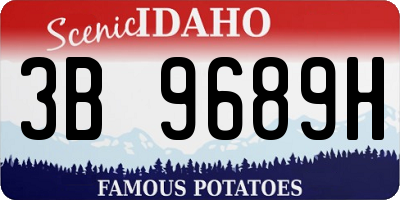 ID license plate 3B9689H