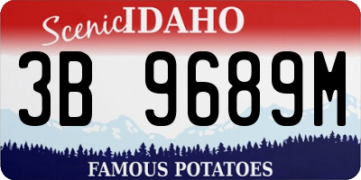 ID license plate 3B9689M