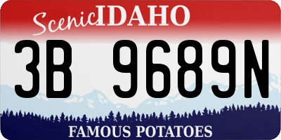 ID license plate 3B9689N