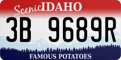 ID license plate 3B9689R