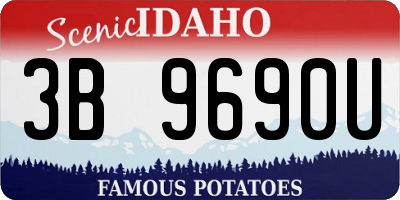 ID license plate 3B9690U