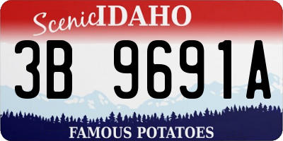 ID license plate 3B9691A