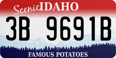 ID license plate 3B9691B