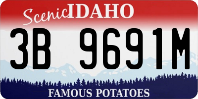 ID license plate 3B9691M