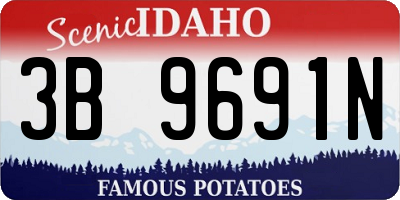 ID license plate 3B9691N