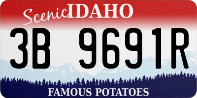 ID license plate 3B9691R