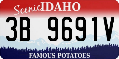 ID license plate 3B9691V