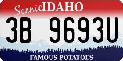 ID license plate 3B9693U
