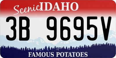 ID license plate 3B9695V
