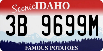 ID license plate 3B9699M